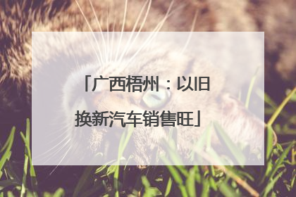 广西梧州：以旧换新汽车销售旺